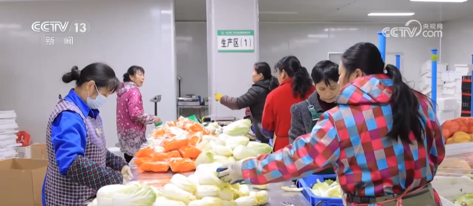 彩神welcome官网小蔬菜“闯出”大市场 本地“菜园子”纵贯粤港澳大湾区“菜篮(图3)