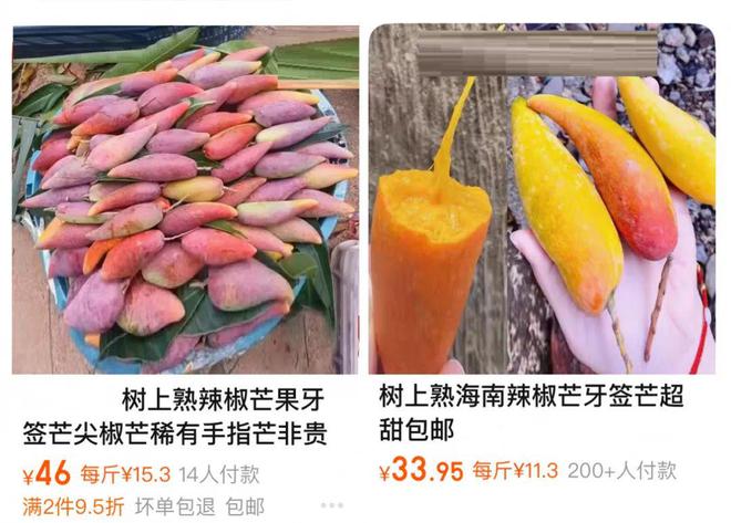 彩神welcome官网别再当冤大头！这5种网红果蔬满是智商税！(图3)