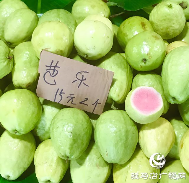 彩神vll首页驻马店：芭乐生果热卖 夏季“果”然火爆(图1)