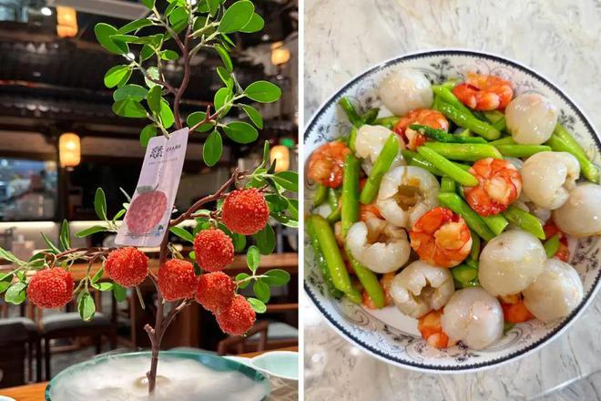 彩神vll首页《长安的荔枝》“哑火了”荔枝饮品却卖爆了(图4)