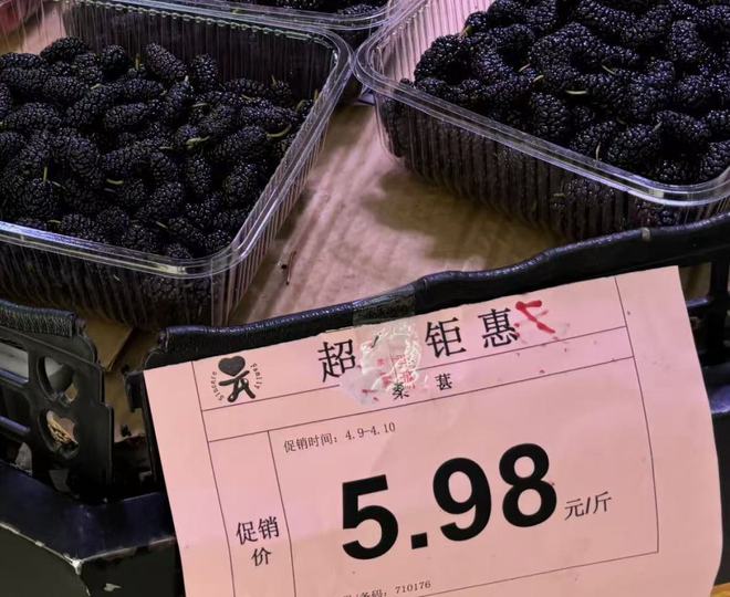 彩神welcome官网半岛查询拜访丨从上百元一斤到99元一盒！蓝莓价钱“腰斩”从(图4)